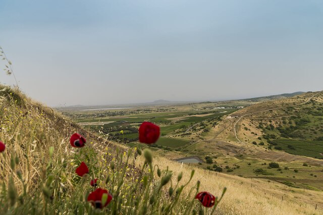 Сирийская Арабская Республика